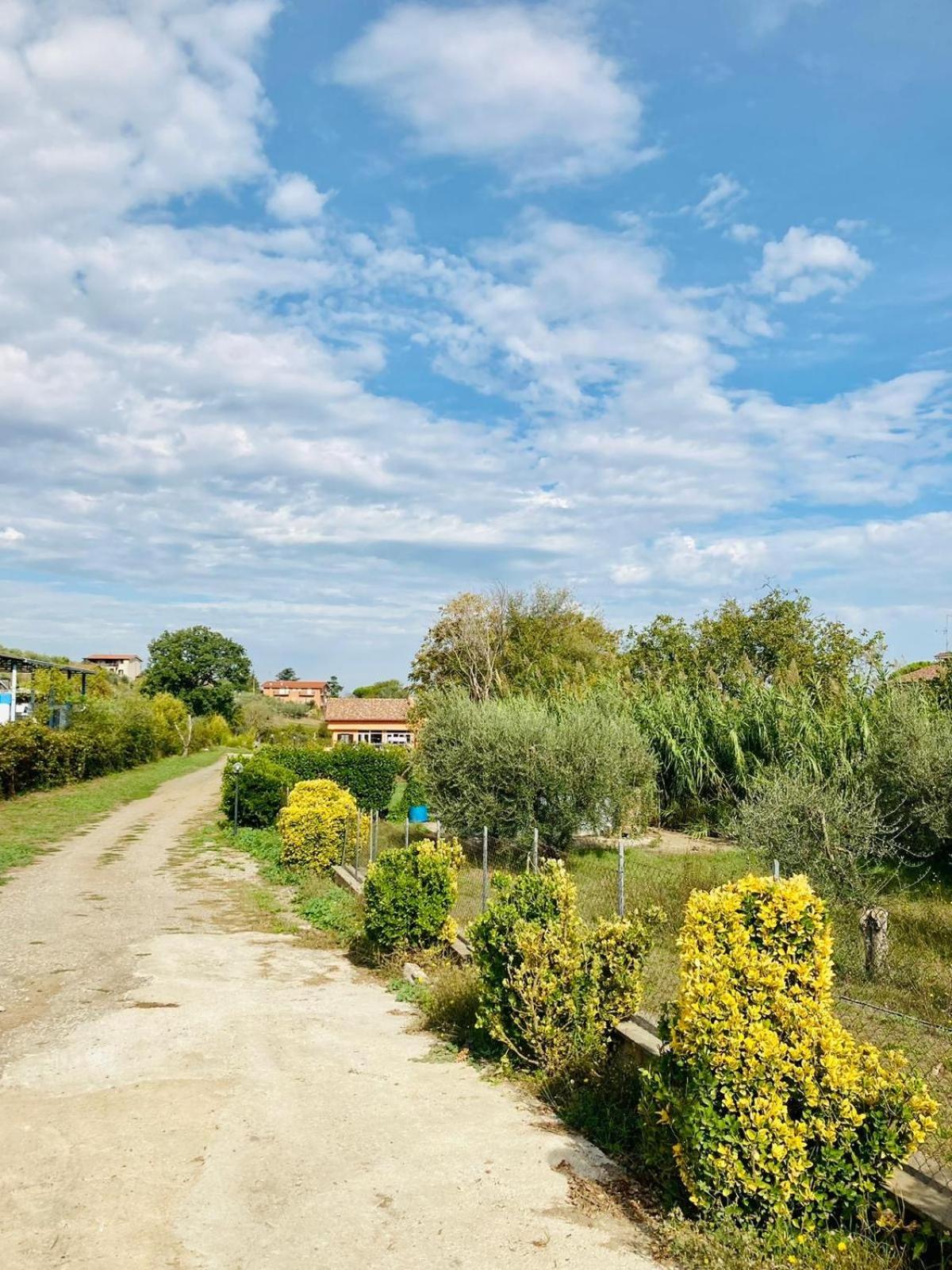Villa Bubu, Appartamento Country-Chic Rome Exterior photo