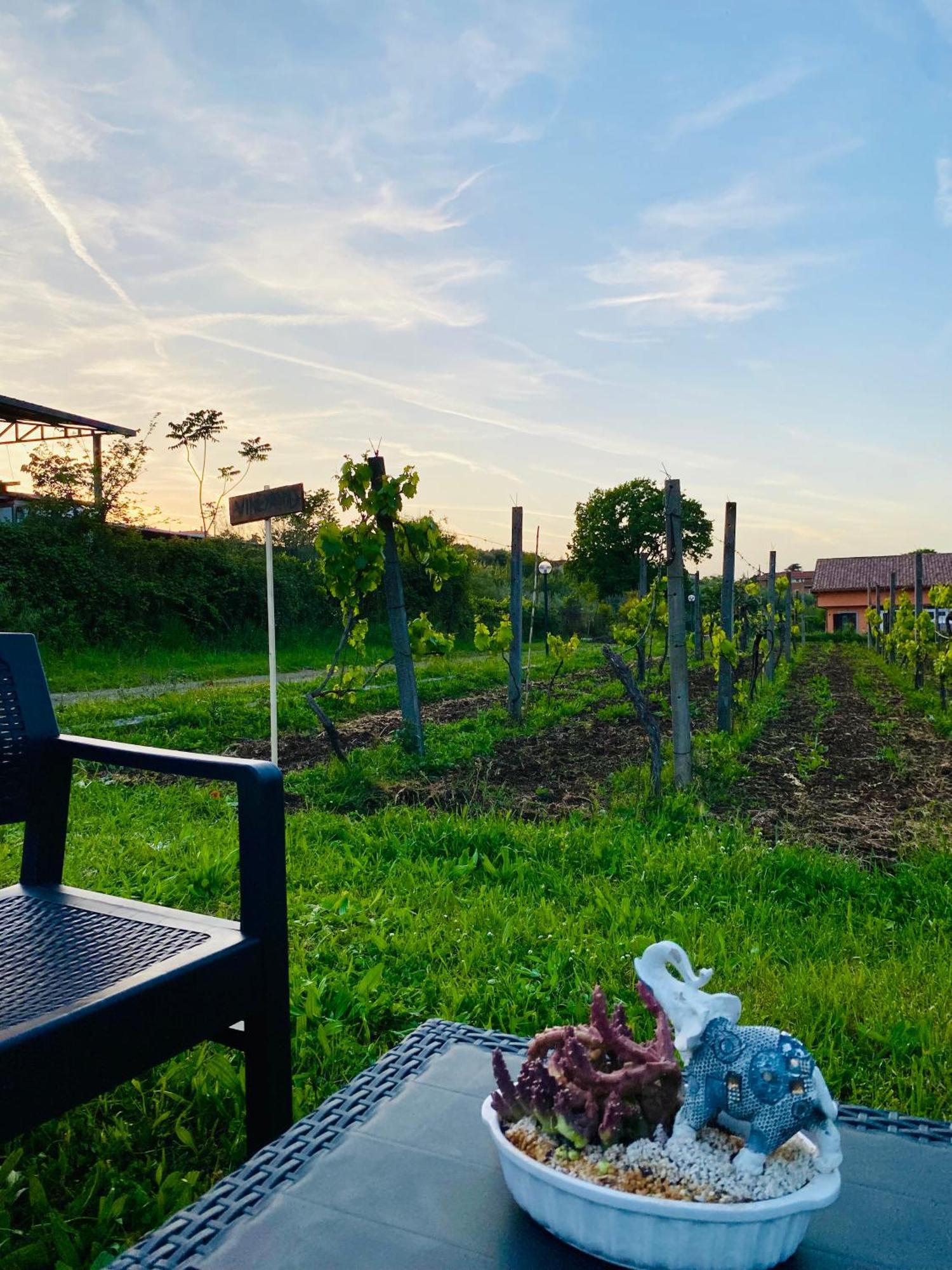 Villa Bubu, Appartamento Country-Chic Rome Exterior photo
